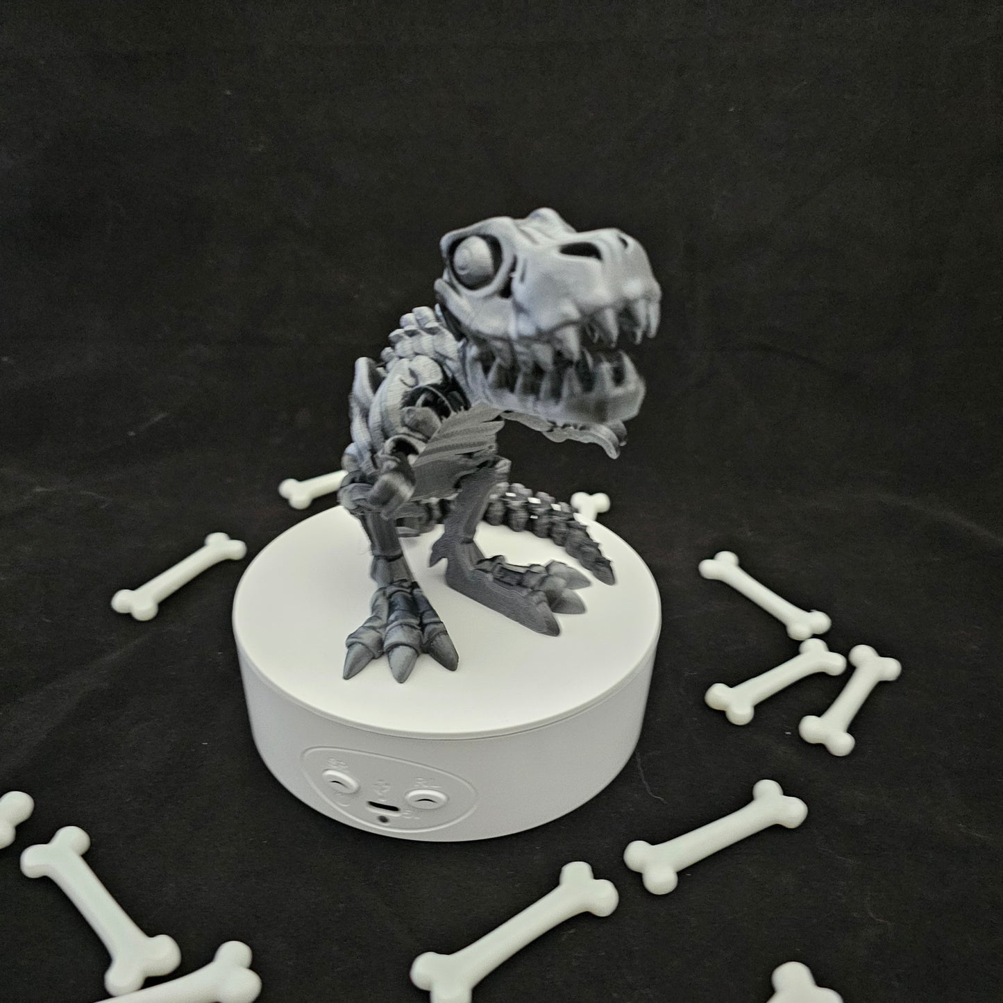 Skeleton T-Rex