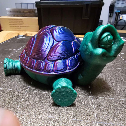 Tortoise