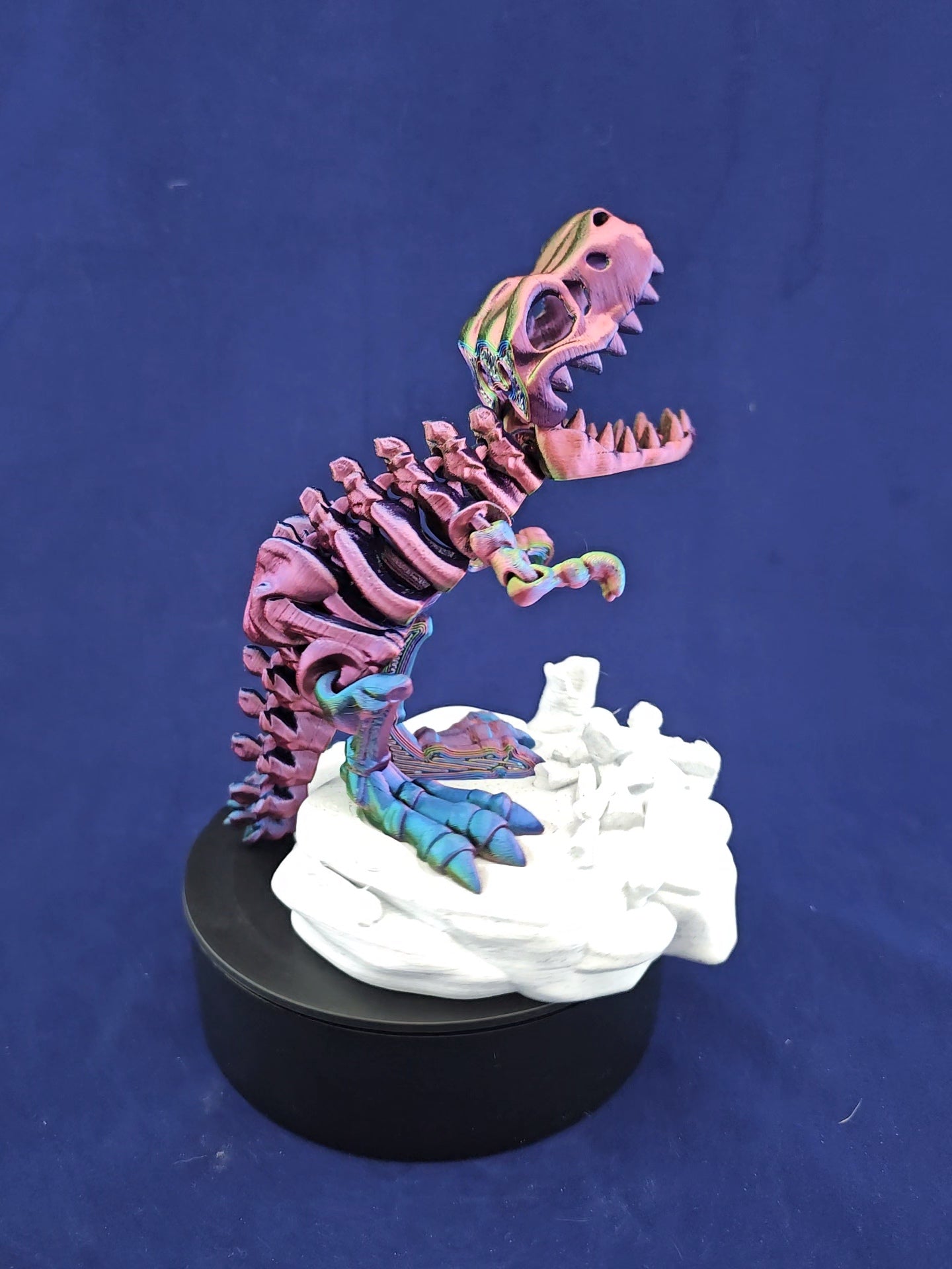 Skeleton T-Rex with Base